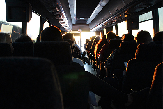 Comfortable chater buses